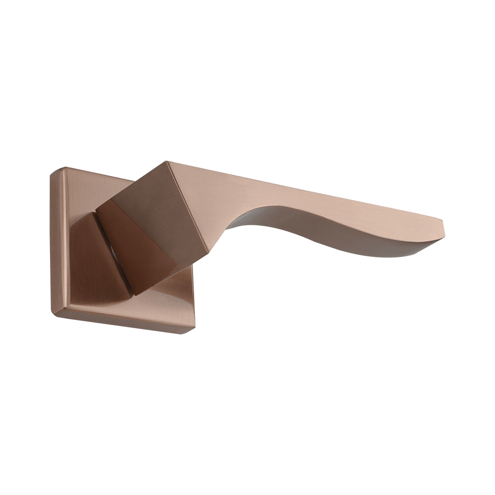 Safari
