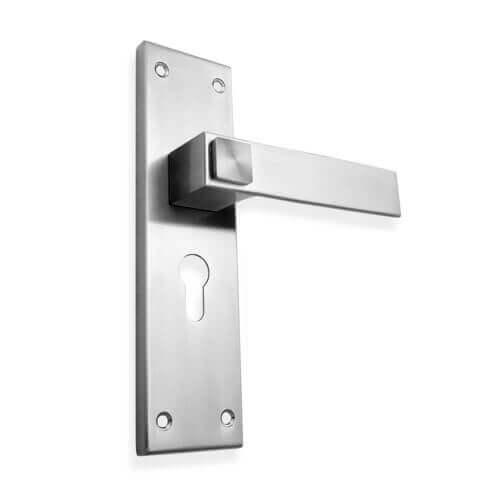 Magnet